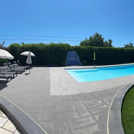 Flamingo Belmonte (Faro)